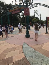 IMG_4486.jpg IMG_4486.jpg