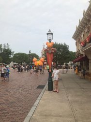 IMG_4679.jpg IMG_4679.jpg