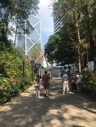 IMG_4843.jpg IMG_4843.jpg