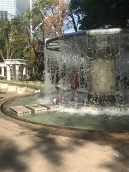 IMG_4845.jpg IMG_4845.jpg