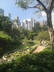 IMG_4856.jpg IMG_4856.jpg