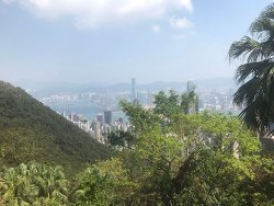 IMG_4866.jpg IMG_4866.jpg