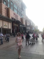 IMG_5070.jpg IMG_5070.jpg