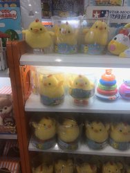 IMG_5107.jpg IMG_5107.jpg