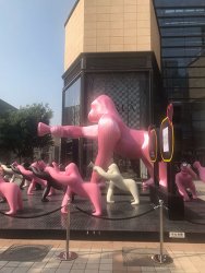 IMG_5117.jpg IMG_5117.jpg