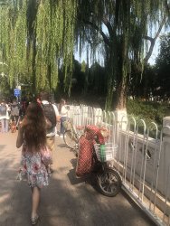 IMG_5198.jpg IMG_5198.jpg