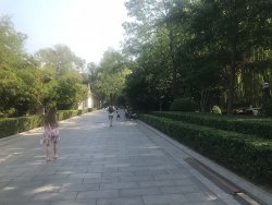 IMG_5216.jpg IMG_5216.jpg