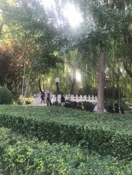 IMG_5221.jpg IMG_5221.jpg