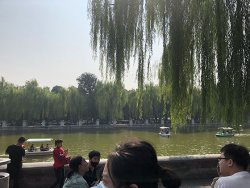 IMG_3152.jpg IMG_3152.jpg