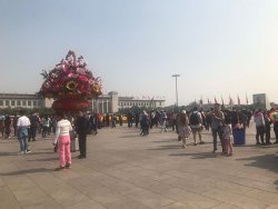 IMG_5328.jpg IMG_5328.jpg