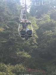 IMG_5387.jpg IMG_5387.jpg