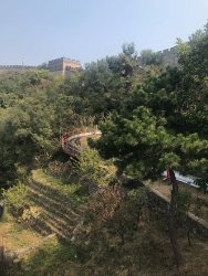 IMG_5410.jpg IMG_5410.jpg