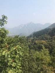 IMG_5452.jpg IMG_5452.jpg