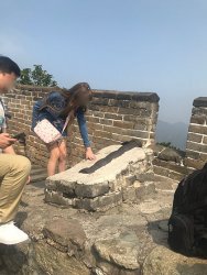 IMG_5454.jpg IMG_5454.jpg