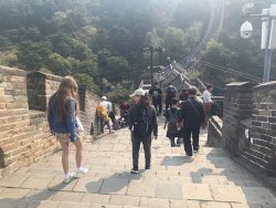 IMG_5456.jpg IMG_5456.jpg