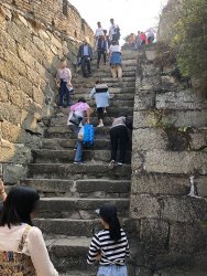 IMG_3183.jpg IMG_3183.jpg