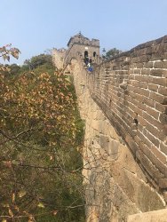 IMG_5460.jpg IMG_5460.jpg