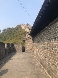 IMG_5484.jpg IMG_5484.jpg