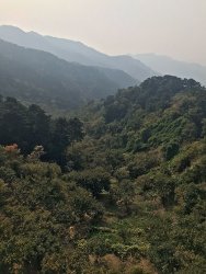 IMG_5560.jpg IMG_5560.jpg