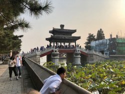 IMG_3205.jpg IMG_3205.jpg