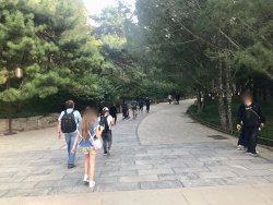 IMG_5575.jpg IMG_5575.jpg