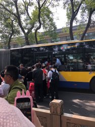 IMG_3155.jpg IMG_3155.jpg