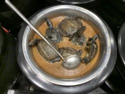 6C7AE737-3B62-48CC-A830-CB75BA06C539.jpeg 6C7AE737-3B62-48CC-A830-CB75BA06C539.jpeg