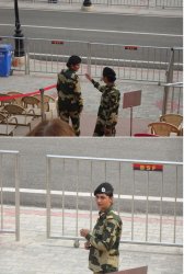 Snip 1163.JPG Snip 1163.JPG