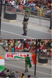 Snip 1167.JPG Snip 1167.JPG