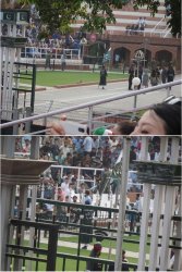 Snip 1169.JPG Snip 1169.JPG