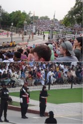 Snip 1186.JPG Snip 1186.JPG