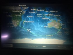 1BAF3D07-B61F-4B49-B44E-6E8BC642270F.jpeg 1BAF3D07-B61F-4B49-B44E-6E8BC642270F.jpeg