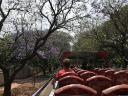 D05D5598-C3FA-4743-A331-13FE19798E0C.jpeg D05D5598-C3FA-4743-A331-13FE19798E0C.jpeg