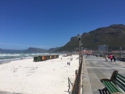 345C0EA4-84DE-46FA-8014-C3803997CE8B.jpeg 345C0EA4-84DE-46FA-8014-C3803997CE8B.jpeg