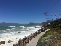 FF310372-C19E-407A-8F47-4CB05CED298C.jpeg FF310372-C19E-407A-8F47-4CB05CED298C.jpeg