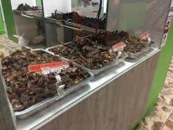 FA79E295-EF20-4154-A79C-804C5709F7FC.jpeg FA79E295-EF20-4154-A79C-804C5709F7FC.jpeg