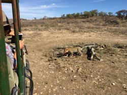 13B76873-7E14-45AB-9E5A-7F3FA72BAA9A.jpeg 13B76873-7E14-45AB-9E5A-7F3FA72BAA9A.jpeg