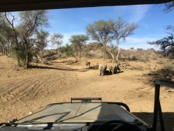 524FB3BA-F1B0-49B1-B112-99B3C257D0B7.jpeg 524FB3BA-F1B0-49B1-B112-99B3C257D0B7.jpeg