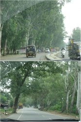 Snip 1199.JPG Snip 1199.JPG