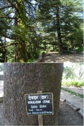 Snip 1202.JPG Snip 1202.JPG