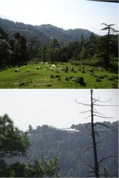 Snip 1204.JPG Snip 1204.JPG