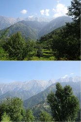 Snip 1207.JPG Snip 1207.JPG