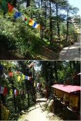 Snip 1212.JPG Snip 1212.JPG