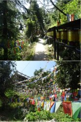 Snip 1213.JPG Snip 1213.JPG