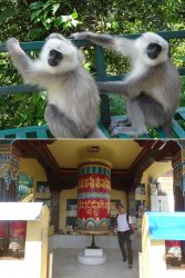 Snip 1214.JPG Snip 1214.JPG