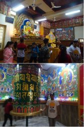 Snip 1219.JPG Snip 1219.JPG