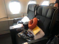 IMG_0371.jpeg IMG_0371.jpeg