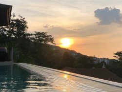 Kamala 1.jpg Kamala 1.jpg