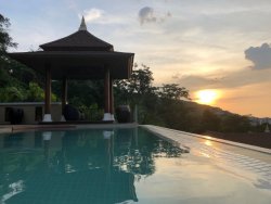 Kamala 2.jpg Kamala 2.jpg