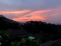 Kamala 3.jpg Kamala 3.jpg